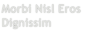 Morbi Nisl Eros
Dignissim
